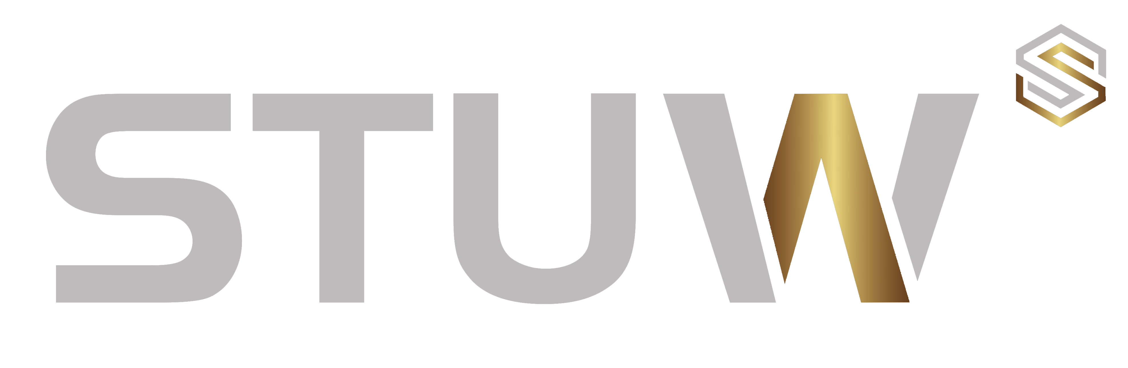 Private label elektrische Stuw fietsen, Wels2wielers