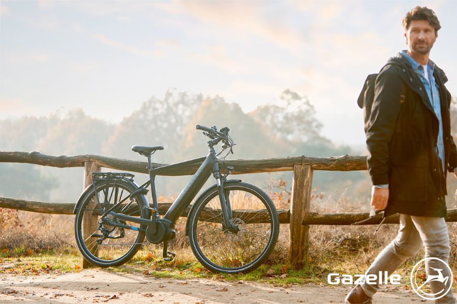 Gazelle sportieve e bike