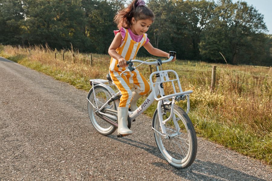 Alpina fiets 20 inch, Alpina fiets, Wels2wielers